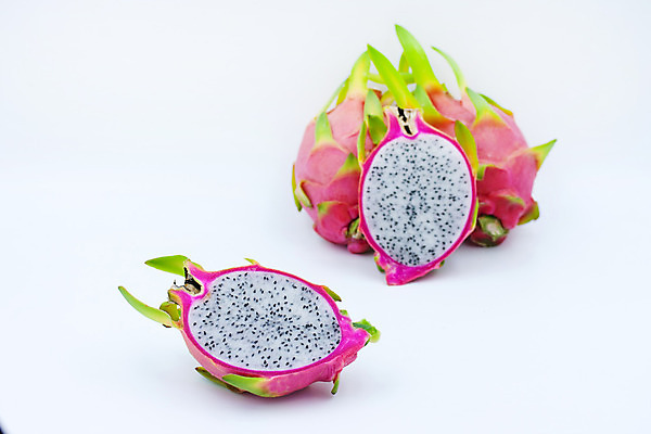 포토 JPG 해외이미지 음식 분홍색 백그라운드 다이어트 과일 태국 자연 선인장 건강 씨앗 동양인 사람없음 빨간색 활발 흰색 용 신선 달콤 맛 잠자리 유기농 고립 숙성 이국적 특별함 해외202004 해외포토 식물 웰빙 아시아 컬러 곤충 컨셉 인종 생태계 파일형식 이미지허브