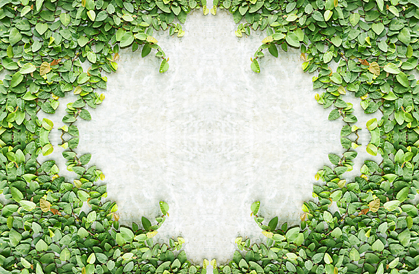 포토 JPG 해외이미지 식물 공원 벽 잎 패턴 자연 주택 매달리기 사람없음 야외 초록색 울타리 우주 정원 공백 성장 신선 오르기 자연백그라운드 내추럴 떠남 해외202004 해외포토 공공시설 컬러 백그라운드 무늬 모션 건물 담장 생태계 파일형식 이미지허브