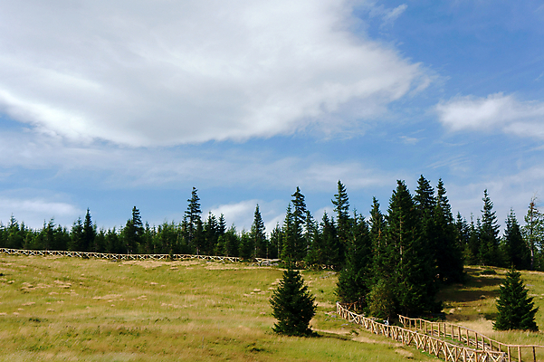 포토 JPG 해외이미지 나무 식물 구름 도로 길 자국 자연 하늘 산 사람없음 여름 나뭇가지 막대기 숲 폴란드 해외202004 해외포토 자연요소 계절 유럽 교통시설 생태계 파일형식 이미지허브