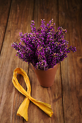 포토 JPG 해외이미지 식물 계절 꽃 분홍색 꽃다발 백그라운드 자연 탁자 사람없음 목재 장식 여름 정원 보라색 벚꽃 가을 개화 제비꽃 내추럴 해외202004 해외포토 나무 컬러 가구 재료 생태계 파일형식 이미지허브