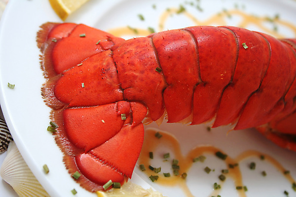 포토 JPG 해외이미지 음식 조개 어류 사람없음 식당 식사 저녁식사 신선 바닷가재 해산물 점심식사 해외202004 해외포토 어패류 상점 수중동물 가재 파일형식 이미지허브