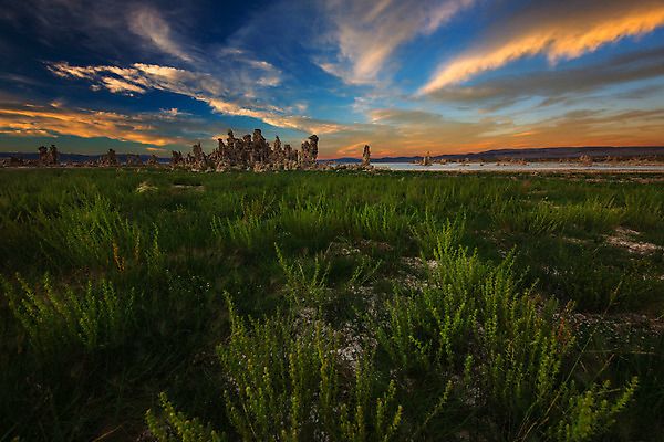 포토 JPG 해외이미지 나무 구름 공원 도로 호수 여행 겨울 밭 배낭 자연 조류 하늘 산 건조 파노라마 풍경 사람없음 야외 물 파란색 반사 갈색 노란색 냉동 미국 놀람 사막 추위 가을 흰색 황금 관목 화산 서리 캘리포니아 소금 장면 분화구 동쪽 내추럴 감탄 석회암 전국 칼슘 해외202004 해외포토 자연요소 식물 동물 계절 공공시설 감정 길 컬러 북아메리카 농업 가방 교통시설 촬영기법 표정 암석 방향 생태계 파일형식 이미지허브