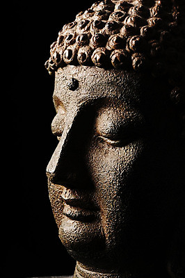 포토 JPG 해외이미지 종교 전통문화 선 불교 검은배경 사람없음 조각상 평화 고요 영혼 축복 심볼 대나무 명상 녹색배경 고립 해외202004 해외포토 나무 전통 문화 백그라운드 컨셉 초록색 조형물 검은색 파일형식 이미지허브