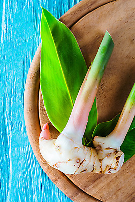 포토 JPG 해외이미지 식물 1 음식 줄기 농업 채소 재료 태국 자연 실내 건강 요리 사람 동양인 사람없음 내부 목재 세로 초록색 파란색 일본 중국 블록 흰색 신선 뜨거움 수프 자르기 허브 향신료 유기농 매움 날것 아로마 뿌리 지하 성분 생강 내추럴 해외202004 해외포토 나무 웰빙 산업 아시아 컬러 모션 인종 맛 생태계 향미료 파일형식 이미지허브