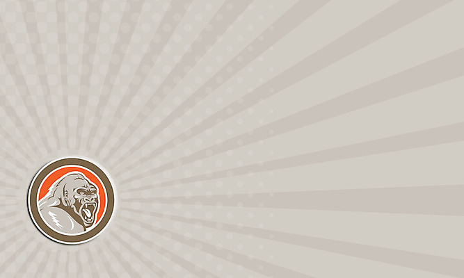 포토 JPG 해외이미지 야생동물 일러스트 명함 사람없음 그래픽 머리 분노 원형 복고 유인원 고릴라 고립 해외202004 해외포토 도형 동물 감정 포유류 신체부위 파일형식 이미지허브