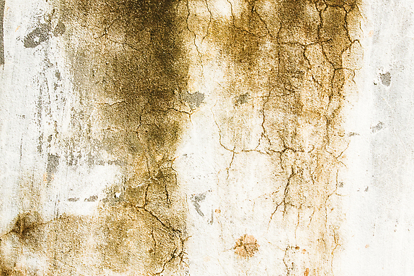 포토 JPG 해외이미지 디자인 종이 벽 백그라운드 패턴 건축양식 벽지 표면 날씨 추상 미술 사람없음 갈색 검은색 페인트 회색 수확 골동품 흰색 도시 얼룩 거친 균열 낟알 고민 부식 질감 복고 시멘트 스크래치 시들음 구김 그런지 썩음 옛날 콘크리트 화상 해외202004 해외포토 건축 감정 컬러 무늬 농업 모션 문화예술 상처 파일형식 이미지허브