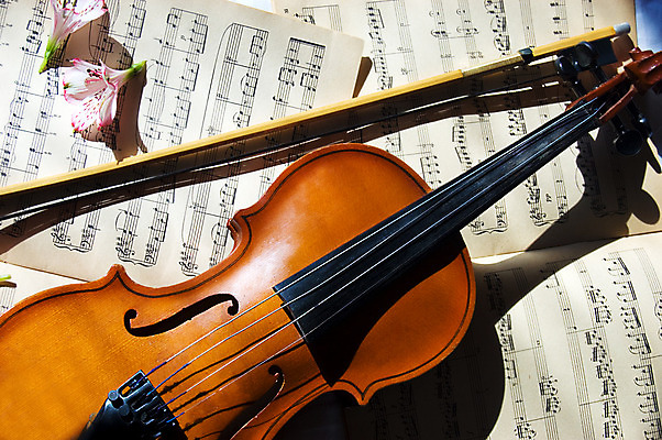 포토 JPG 해외이미지 꽃 사람없음 우아함 바이올린 악보 바이올린활 해외202004 해외포토 식물 음악 컨셉 현악기 파일형식 이미지허브