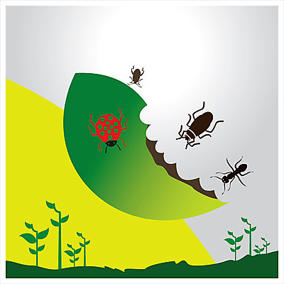 포토 JPG 해외이미지 나무 식물 아이콘 꽃 화분 음식 곤충 포크 농업 인터넷 채소 과일 자연 부츠 씨앗 사람없음 물 울타리 픽토그램 태양 정원 웹 수레 물뿌리개 도구 해충 벌레 모종삽 심볼 유기농 원예 무당벌레 채소밭 묘목 해외202004 해외포토 자연요소 동물 식기 웰빙 산업 신발 밭 취미 담장 카트 삽 생태계 파일형식 이미지허브