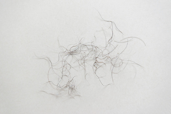 포토 JPG 해외이미지 곡선 바닥 털 실내 사람 사람없음 검은색 침실 방 가을 웨이브 일반 땅바닥 적자 해외202004 해외포토 계절 선 컬러 내부 파일형식 이미지허브