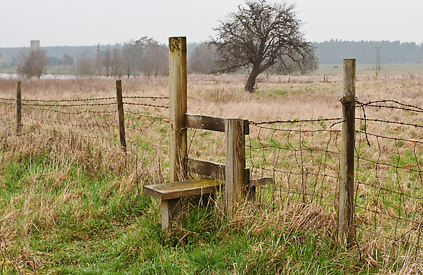 포토 JPG 해외이미지 구름 공원 하늘 산 풍경 사람없음 야외 목재 초록색 파란색 울타리 운동 걷기 등산 트래킹 하이킹 바위 시골 큼 산등성이 일반 단계 전국 스타일 해외202004 해외포토 자연요소 나무 공공시설 컬러 재료 모션 레저 건강 담장 돌_바위 크기 파일형식 이미지허브