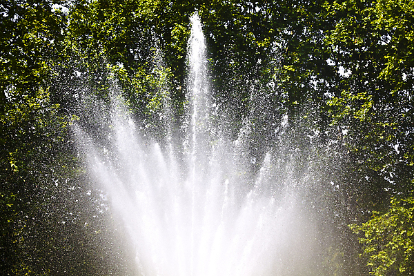 포토 JPG 해외이미지 나무 공원 잎 자연 불꽃 사람없음 야외 초록색 물 여름 흰색 떨어짐 분수 스플래쉬 해외202004 해외포토 자연요소 식물 계절 공공시설 컬러 컨셉 불 생태계 파일형식 이미지허브