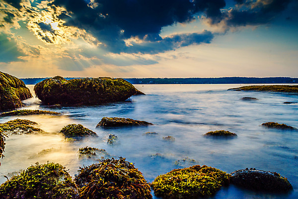포토 JPG 해외이미지 공원 바다 섬 백그라운드 패턴 오렌지 자연 추상 휴식 잉글랜드 새로움 산 사람없음 야외 장식 가로 빨간색 물 파란색 갈색 노란색 검은색 미국 회색 젖음 사막 조약돌 바위 흰색 그리기 황무지 매끈함 질감 대서양 내추럴 전국 제빵사 해외202004 해외포토 자연요소 직업 공공시설 컬러 컨셉 북아메리카 무늬 과일 모션 영국 돌_바위 감각 생태계 파일형식 이미지허브