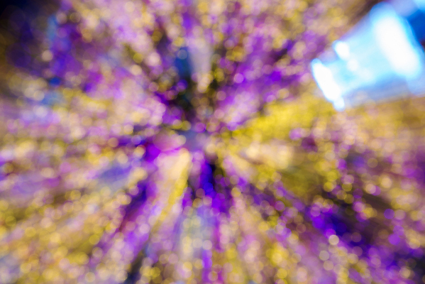 포토 JPG 해외이미지 디자인 백그라운드 크리스마스 겨울 공장 추상 전등 기념 미술 사람없음 장식 빛 노란색 파티 흰색 축하 원형 야간 질감 보케 공상 마법 블러 해외202004 해외포토 자연요소 도형 계절 기념일 컬러 컨셉 무늬 공업 문화예술 조명 이벤트 파일형식 이미지허브