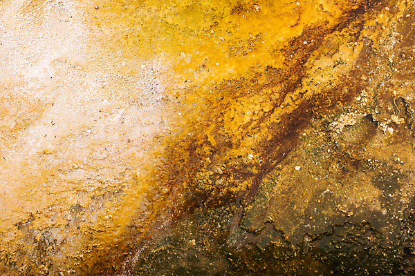 포토 JPG 해외이미지 오렌지 자연 사람없음 물 노란색 수중 젖음 뜨거움 거친 묘사 질감 먼지 대야 박테리아 그런지 땅바닥 유황 지열 지질학 해외202004 해외포토 자연요소 교육 컬러 과일 의학 바닥 생태계 파일형식 이미지허브