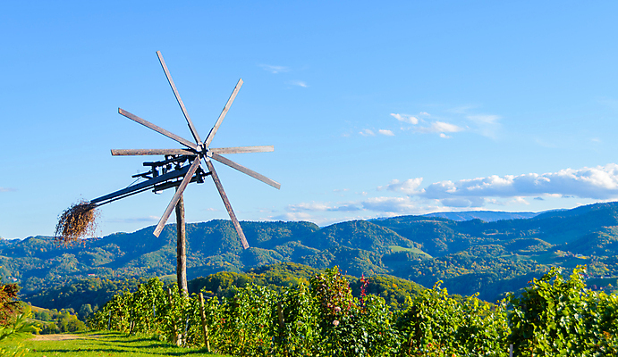 포토 JPG 해외이미지 유럽 도로 길 잎 패턴 자연 벽지 포도 풍경 사람없음 초록색 컬러풀 여행객 와인 풍차 마시기 가을 숲 언덕 포도밭 포도나무 밭일 슬로베니아 해외202004 해외포토 식물 계절 나라 컬러 무늬 밭 과일 교통시설 모션 주류 사람 과일나무 생태계 파일형식 이미지허브