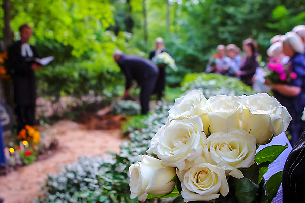 포토 JPG 해외이미지 꽃 종교 사람 사람없음 여름 빛 장미 가을 바위 흰색 기도 죽음 무덤 비석 묘사 기념물 시들음 천연기념물 장례 장례식 전국 필터 효과 해외202004 해외포토 식물 계절 컬러 돌_바위 파일형식 이미지허브