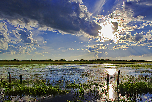 포토 JPG 해외이미지 구름 계절 여행 백그라운드 밭 농업 자연 하늘 날씨 풍경 사람없음 야외 초록색 물 여름 파란색 태양 농장 농경지 평화 맑음 어둠 시골 낟알 땅 장면 폭풍 흐림 내추럴 밭일 재앙 수평선 해외202004 해외포토 자연요소 산업 컬러 컨셉 생태계 파일형식 이미지허브