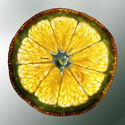 포토 JPG 해외이미지 오렌지 과일 건강 사람없음 빛 신선 반대 해외202004 해외포토 파일형식 이미지허브