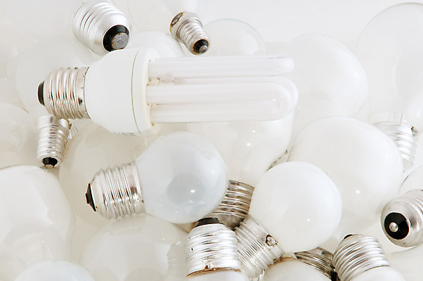 포토 JPG 해외이미지 전구 유리 사람없음 환경 에너지 수확 흰색 절약 구식 옛날 해외202004 해외포토 컬러 컨셉 농업 재질 파일형식 이미지허브