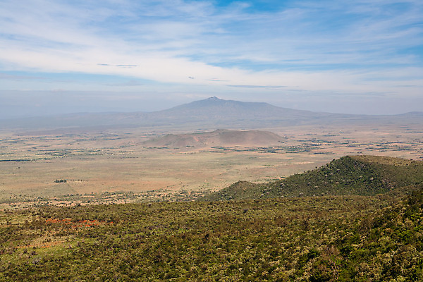 포토 JPG 해외이미지 나무 식물 공원 야생동물 여행 아프리카 자연 하늘 산 풍경 사람없음 야외 초록색 파란색 세계 맑음 뜨거움 황무지 보호 사파리 암초 케냐 동쪽 내추럴 아카시아 동물상 사바나 전국 해외202004 해외포토 동물 공공시설 나라 컬러 컨셉 날씨 조형물 방향 생태계 파일형식 이미지허브