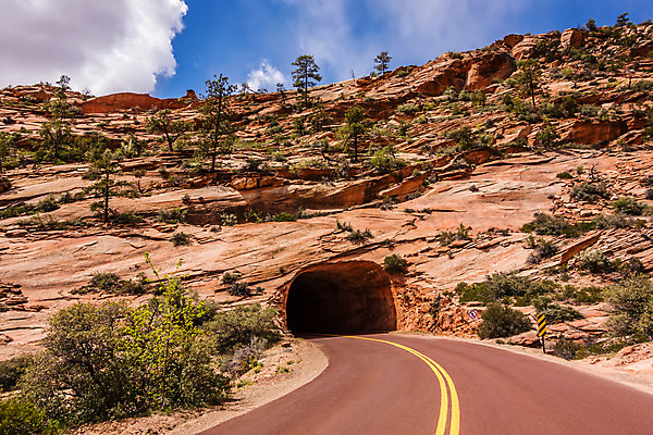 포토 JPG 해외이미지 구름 공원 도로 길 여행 자연 산 풍경 사람없음 가로 여름 골짜기 미국 일몰 사막 소나무 고속도로 개울 황무지 보행로 터널 호기심 날것 암초 사암 내추럴 시온산 전국 지질학 직진 해외202004 해외포토 자연요소 나무 계절 공공시설 교육 감정 컨셉 북아메리카 교통시설 강 노을 돌_바위 생태계 파일형식 이미지허브