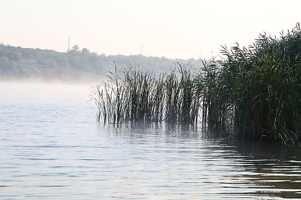 포토 JPG 해외이미지 나무 실루엣 유럽 호수 백그라운드 겨울 자연 하늘 아침 휴식 파노라마 갈대 미술 풍경 사람없음 가로 물 여름 강 햇빛 태양 반사 침묵 황혼 새벽 추위 안개 가을 신선 순수 알프스 심플 장면 폭풍 추적 넘어짐 멀티 파스텔톤 수평선 완전 해외202004 해외포토 주간 자연요소 식물 계절 나라 컬러 컨셉 모션 날씨 문화예술 촬영기법 소리 일몰 생태계 파일형식 이미지허브