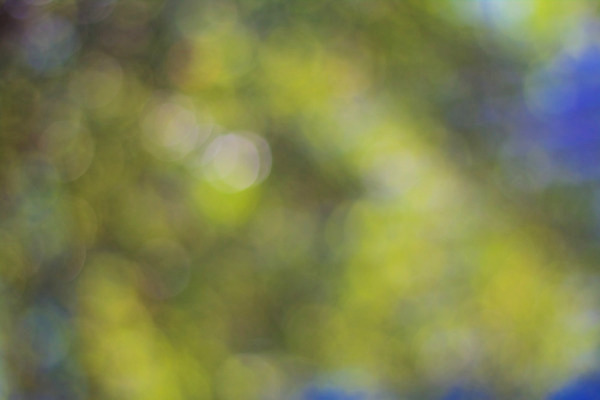 포토 JPG 해외이미지 디자인 행복 별 분홍색 백그라운드 크리스마스장식 크리스마스 오렌지 일러스트 추상 휴가 불꽃 새로움 기념 미술 이벤트 사람없음 장식 빨간색 파란색 빛 반짝임 노란색 우주 검은색 축제 화환 어둠 원형 신용카드 화려 우아함 야간 소프트포커스 연도 심볼 보케 마법 빛망울 엘리먼트 해외202004 해외포토 자연요소 도형 기념일 꽃 감정 컬러 컨셉 무늬 과일 모션 불 문화예술 촬영기법 금융 파일형식 이미지허브