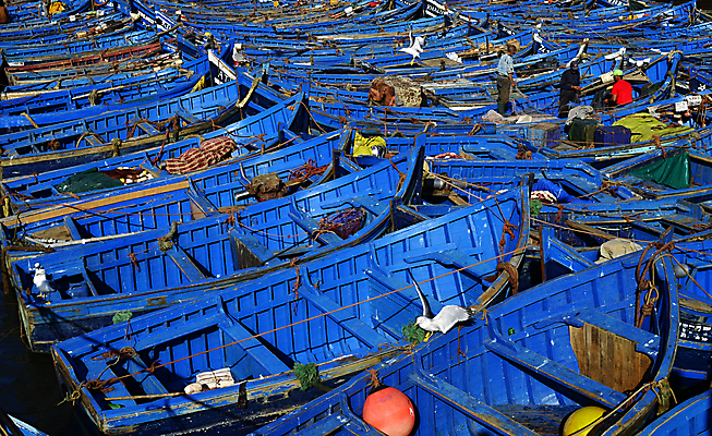 포토 JPG 해외이미지 전통 문화 밧줄 바다 여행 백그라운드 교통시설 아프리카 낚시 어류 사람없음 야외 목재 물 파란색 컬러풀 항구 도시 업무 보트 코드 방파제 함선 낚시꾼 포트 닻 모로코 단상 대서양 메디나 아랍어 해외202004 해외포토 자연요소 나무 공공시설 나라 줄 컬러 교통 배_교통 재료 레저 수중동물 작업 시설 파일형식 이미지허브