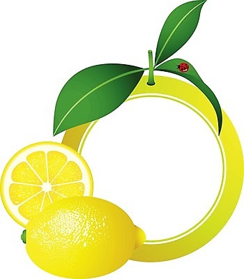 EPS 해외이미지 클립아트 음식 조각 잎 다이어트 과일 일러스트 디저트 프레임 그래픽 여름 수확 가을 신선 아침식사 만화 먹기 레몬 소재 내추럴 고립 해외202004 해외일러스트 식물 계절 농업 모션 건강 식사 파일형식 벡터 이미지허브