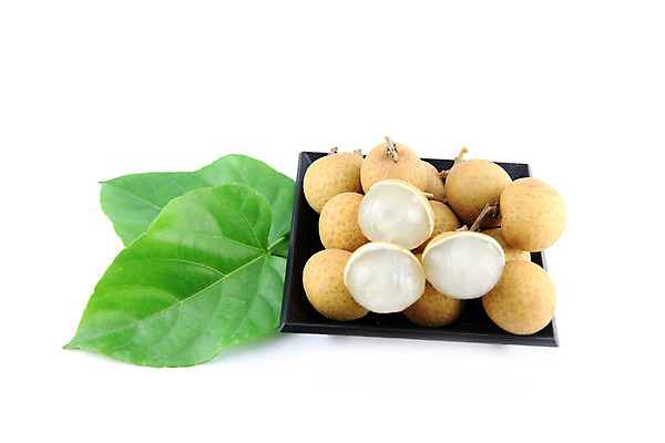 포토 JPG 해외이미지 음식 과일 태국 자연 동양인 사람없음 갈색 노란색 흰색 나뭇가지 신선 원형 그룹 시장 달콤 작음 흙더미 고립 이국적 해외202004 해외포토 도형 나무 아시아 컬러 인종 흙 맛 크기 생태계 파일형식 더미 이미지허브