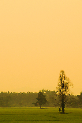 포토 JPG 해외이미지 식물 구름 전통 계절 아시아 문화 여행 백그라운드 농업 오렌지 자연 하늘 밥 날씨 주택 풍경 잔디 사람없음 야외 초록색 여름 컬러풀 햇빛 태양 농장 일출 환경 맑음 일몰 봄 성장 광선 시골 신선 땅 질감 장면 남쪽 내추럴 논밭 수평선 해외202004 해외포토 자연요소 나라 산업 음식 컬러 밭 과일 논 건물 노을 방향 생태계 파일형식 이미지허브