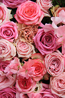 포토 JPG 해외이미지 식물 꽃잎 꽃 분홍색 꽃다발 결혼 백그라운드 자연 결혼식 사랑 사람없음 장식 초록색 장미 그룹 배열 파스텔톤 해외202004 해외포토 감정 컬러 이벤트 생태계 파일형식 이미지허브