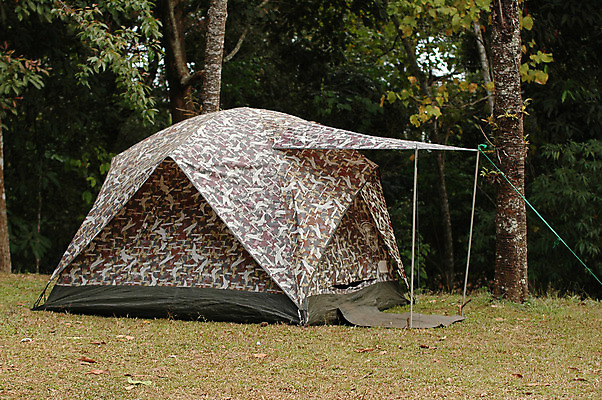 포토 JPG 해외이미지 나무 라이프스타일 여행 자연 휴가 산 텐트 풍경 사람없음 야외 여름 소풍 환경 정원 캠핑 장비 캠핑장 해외202004 해외포토 식물 계절 레저 캠핑도구 생활 야외활동 생태계 파일형식 이미지허브