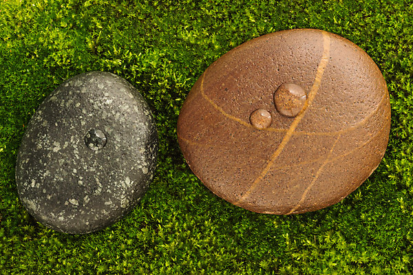 포토 JPG 해외이미지 나무 식물 디자인 공원 선 백그라운드 잎 패턴 자연 벽지 표면 추상 휴식 건강 이끼 동양인 사람없음 초록색 물 강 평화 환경 정원 검은색 스파 젖음 성장 신선 숲 순수 묘사 명상 질감 심플 테라피 내추럴 돌봄 땅바닥 해외202004 해외포토 자연요소 공공시설 컬러 컨셉 무늬 모션 바닥 인종 뷰티 생태계 파일형식 이미지허브