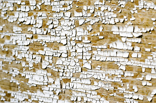 포토 JPG 해외이미지 벽 백그라운드 패턴 벽지 표면 날씨 추상 사람없음 목재 갈색 페인트 흰색 판넬 거친 그리기 균열 묘사 부식 질감 복고 내추럴 썩음 옛날 해외202004 해외포토 나무 컬러 무늬 재료 모션 파일형식 이미지허브