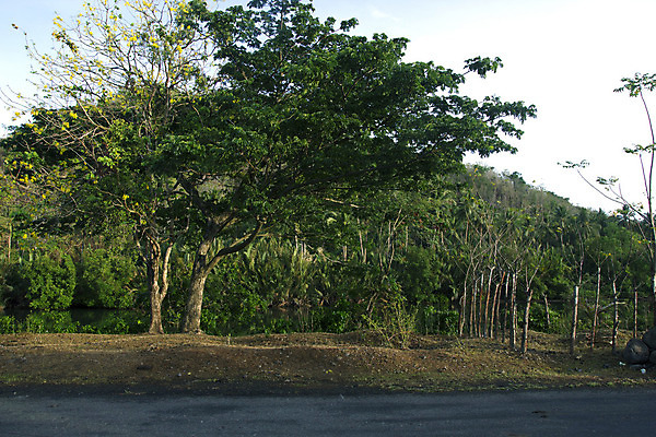 포토 JPG 해외이미지 나무 구름 전통 계절 여행 밭 농업 자연 하늘 산 주택 파노라마 풍경 사람없음 야외 건물 목재 물 여름 강 컬러풀 농장 반사 여행객 마을 봄 가을 동굴 엽서 장면 암초 남쪽 세관 해외202004 해외포토 자연요소 식물 건축물 산업 컬러 재료 촬영기법 사람 편지 방향 생태계 파일형식 관세청 이미지허브