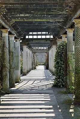 포토 JPG 해외이미지 공원 길 잎 건축양식 주택 사람없음 장식 평화 정원 산책 덮개 터널 오솔길 통로 원예 해외202004 해외포토 식물 공공시설 건축 컨셉 휴식 취미 건물 뚜껑 파일형식 이미지허브