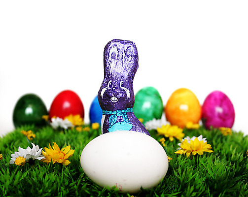 포토 JPG 해외이미지 전통 디자인 계절 꽃 행복 기독교 종교 음식 백그라운드 꽃무늬 패턴 자연 휴가 부활절 창조 선물 사람없음 장식 빨간색 초록색 파란색 컬러풀 계란 페인트 놀람 봄 흰색 축하 토끼 둥지 4월 수집 심볼 고립 해외202004 해외포토 식물 기념일 감정 컬러 컨셉 무늬 포유류 표정 반려동물 알 날짜 생태계 파일형식 이미지허브