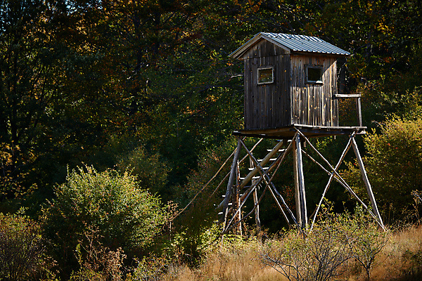 포토 JPG 해외이미지 스포츠 산 사람없음 야외 게임 숲 오두막 발사 사냥 사냥꾼 해외202004 해외포토 직업 놀이 파일형식 이미지허브