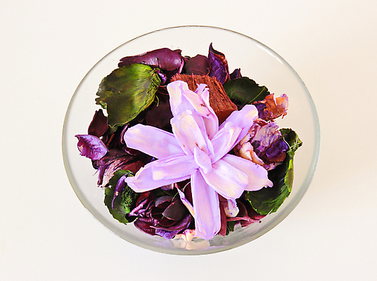 포토 JPG 해외이미지 식물 꽃잎 꽃 분홍색 백그라운드 잎 꽃무늬 자연 유리 건조 건강 선물 사람없음 장식 컵 초록색 약 장미 쌓기 보라색 스파 벚꽃 흰색 도자기 투명 사발 허브 향수 묘사 향기 냄새 아로마 아로마테라피 내추럴 해외202004 해외포토 식기 컬러 무늬 의학 모션 재질 화장품 사기그릇 생태계 테라피 파일형식 이미지허브