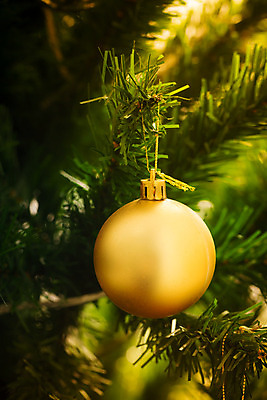 포토 JPG 해외이미지 나무 전통 디자인 계절 행복 백그라운드 크리스마스 겨울 패턴 공 유리 휴가 새로움 주택 기념 따뜻함 선물 사람없음 내부 장식 빨간색 초록색 빛 노란색 축제 화환 방 흰색 축하 소나무 황금 야간 12월 연도 벽난로 블러 해외202004 해외포토 자연요소 식물 기념일 꽃 감정 컬러 컨셉 무늬 재질 건물 날짜 파일형식 이미지허브