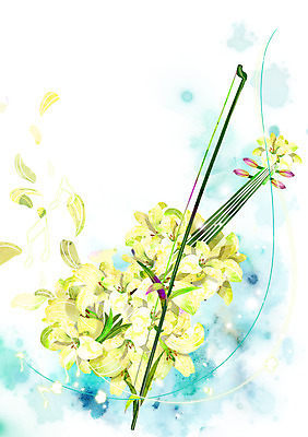 PSD 식물 꽃잎 꽃 악기 백그라운드 컨셉 음표 일러스트 사람없음 흰색 화려 백합 신비 바이올린 활용 국내일러스트 기호 음악 컬러 현악기 파일형식