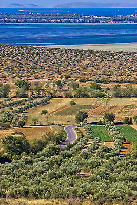 포토 JPG 해외이미지 나무 식물 유럽 도로 호수 바다 섬 밭 농업 자연 안테나 국립공원 풍경 사람없음 야외 세로 초록색 물 여름 파란색 농작물 농장 농경지 흙 시골 숲 과수원 지중해 올리브 장면 크로아티아 해외202004 해외포토 자연요소 계절 공원 열매 나라 산업 길 컬러 통신 교통시설 생태계 파일형식 이미지허브