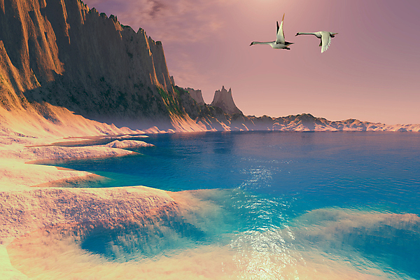 포토 JPG 해외이미지 구름 파도 바다 섬 일러스트 자연 조류 하늘 휴식 산 항해 따뜻함 사람없음 물 여름 파란색 태양 반사 평화 침묵 꿈 탈출 그림 백조 공상 석호 소금물 이국적 해일 해외202004 해외포토 자연요소 동물 계절 컬러 컨셉 배_교통 소리 자연재해 생태계 파일형식 이미지허브