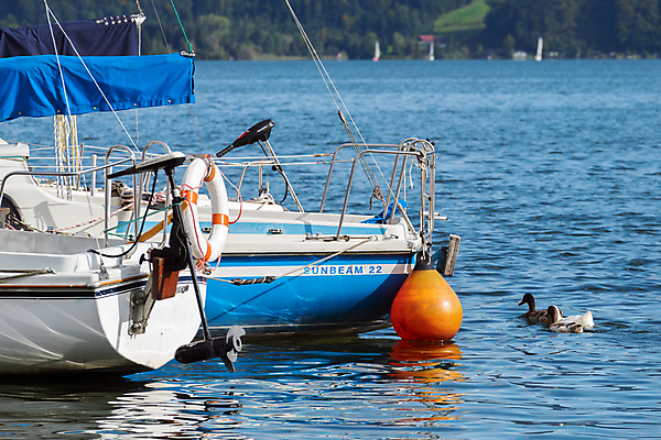 포토 JPG 해외이미지 구름 호수 요트 오렌지 하늘 산 오리 풍경 사람없음 초록색 물 파란색 흰색 보트 정박 부표 해외202004 해외포토 자연요소 컬러 배_교통 과일 조류 파일형식 이미지허브