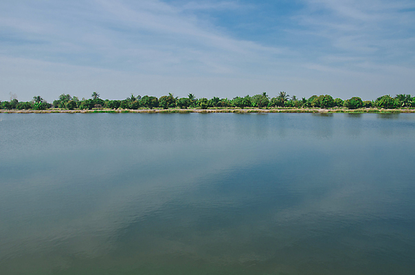 포토 JPG 해외이미지 나무 구름 계절 아시아 호수 태국 자연 하늘 표면 풍경 사람없음 초록색 물 여름 파란색 빛 햇빛 노란색 환경 뜨거움 숲 지역 땅바닥 해외202004 해외포토 자연요소 식물 나라 컬러 바닥 태양 생태계 파일형식 이미지허브