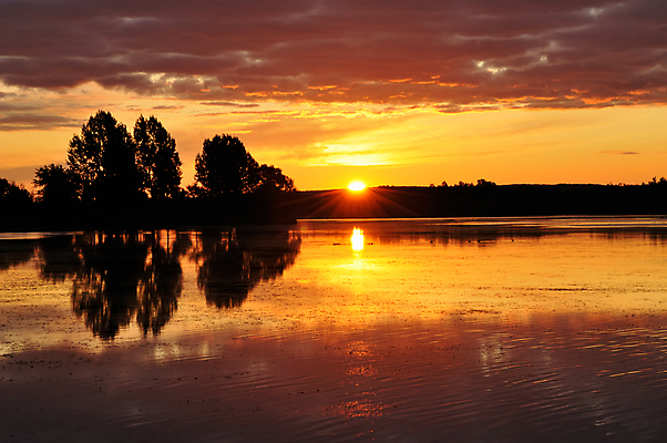 포토 JPG 해외이미지 나무 구름 실루엣 호수 캐나다 오렌지 자연 하늘 아침 흑백 그림자 풍경 사람없음 야외 물 여름 빛 강 햇빛 태양 반사 노란색 일출 침묵 일몰 새벽 광선 가을 소프트포커스 상승 장면 파스텔톤 부족함 해외202004 해외포토 주간 자연요소 식물 계절 컬러 컨셉 북아메리카 과일 촬영기법 노을 소리 생태계 파일형식 이미지허브