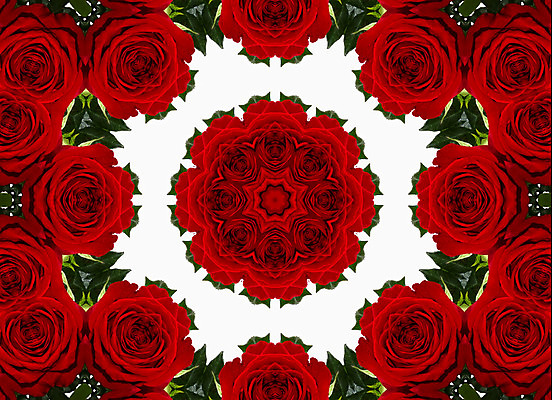 포토 JPG 해외이미지 디자인 문화 패턴 추상 사람없음 장미 중국 직물 원형 파마 심볼 사인 서식 자수 대칭 만다라 만화경 아라베스크 해외202004 해외포토 도형 헤어스타일 꽃 아시아 무늬 장난감 파일형식 이미지허브