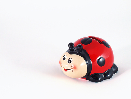 포토 JPG 해외이미지 어린이 곤충 돈 사람없음 장난감 흰색 벌레 플라스틱 무당벌레 고무 해외202004 해외포토 동물 컬러 재질 사람 재산 파일형식 이미지허브