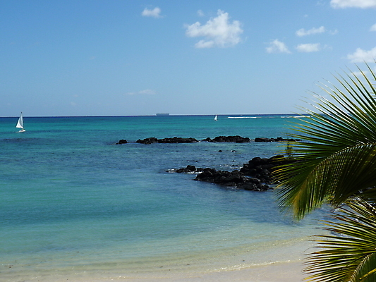 포토 JPG 해외이미지 나무 모래 바다 섬 여행 자연 하늘 휴가 휴식 손바닥 사람없음 물 여름 파란색 태양 침묵 흰색 보트 고급 인도인 휴양지 모리셔스 이국적 터키석 파라다이스 해외202004 해외포토 자연요소 외국인 식물 손 계절 컬러 컨셉 배_교통 동양인 소리 장소 보석 생태계 파일형식 이미지허브